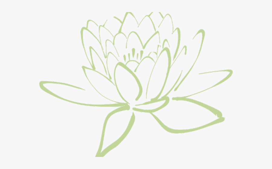 Transparent 300 Clipart - Lotus Flower Clipart Green, Transparent Clipart