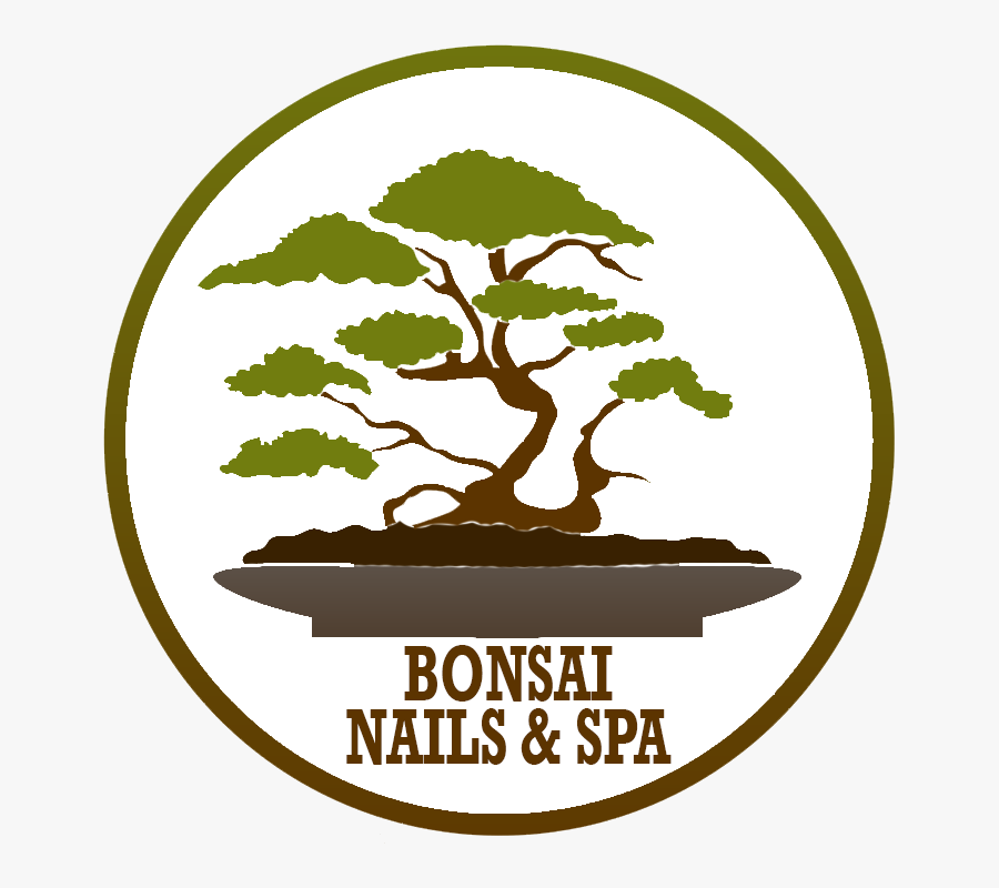 Bonsainailspalincoln - Com - Bonsai Vector Png, Transparent Clipart