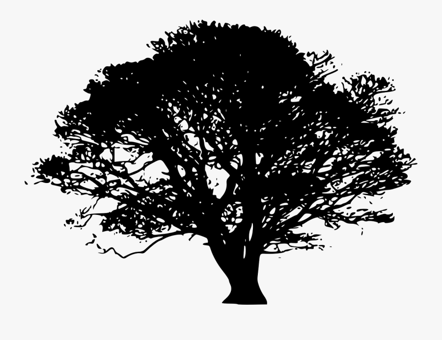 Tree Png Download - Oak Tree Silhouette Png, Transparent Clipart