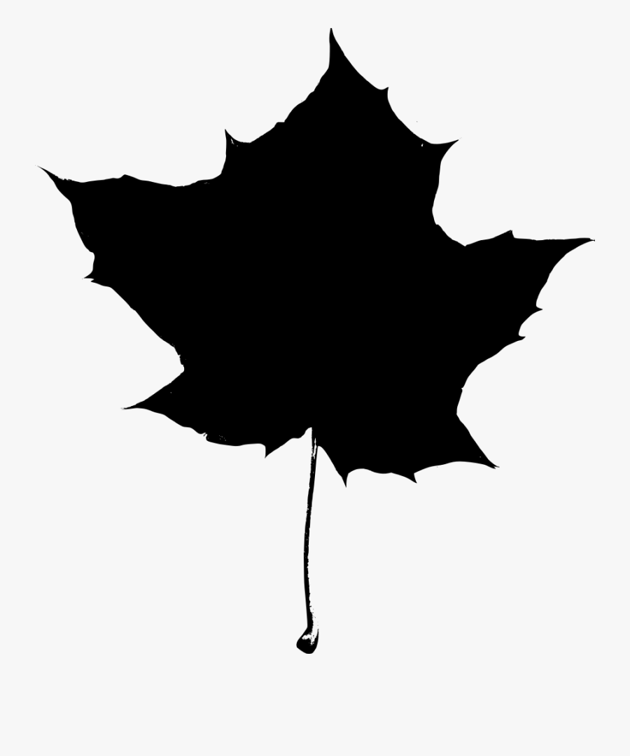Maple Leaf Silhouette Clipart 3 By Victoria - Maple Tree Leaf Silhouette, Transparent Clipart