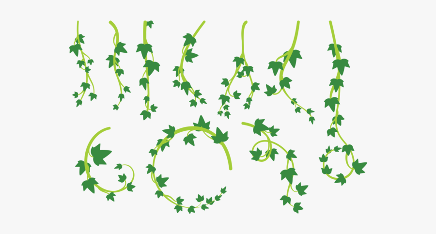 Liana Leaves Vector - Lianas Png, Transparent Clipart