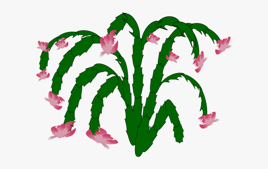 Plant,leaf,aquarium Decor - Cactus, Transparent Clipart