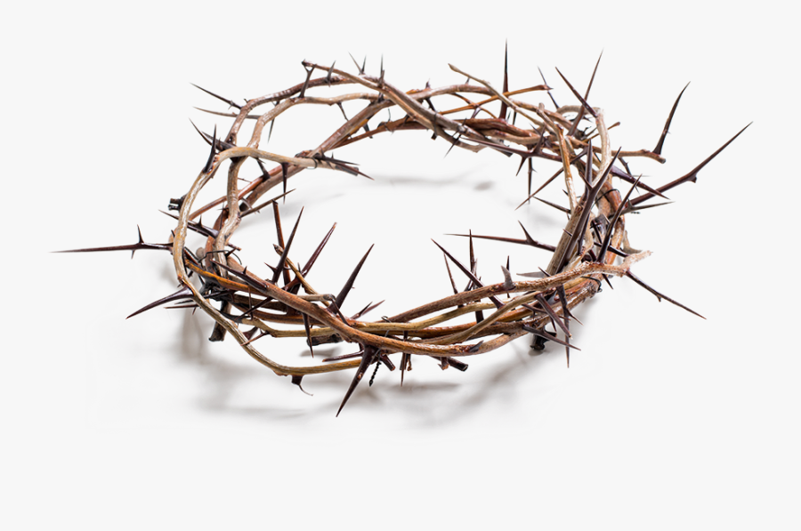 Stock Photography Crown Of Thorns Royalty-free, Transparent Clipart