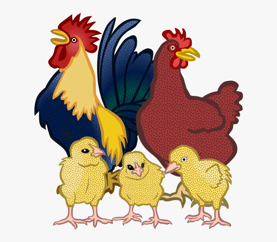 Poultry,art,livestock - Chickens Clipart, Transparent Clipart