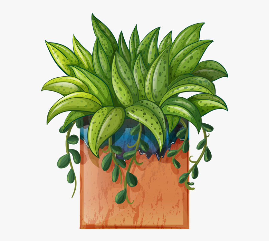Transparent Plants Clipart - Illustration, Transparent Clipart