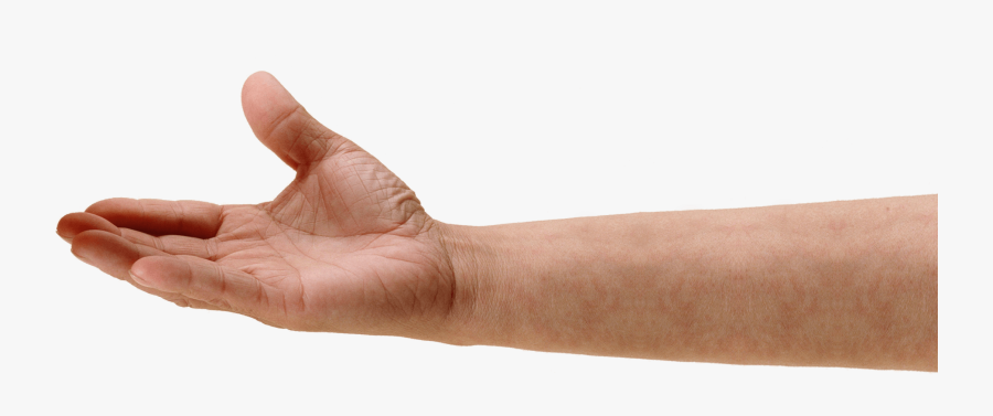 Human Hand Png - Hand Png, Transparent Clipart
