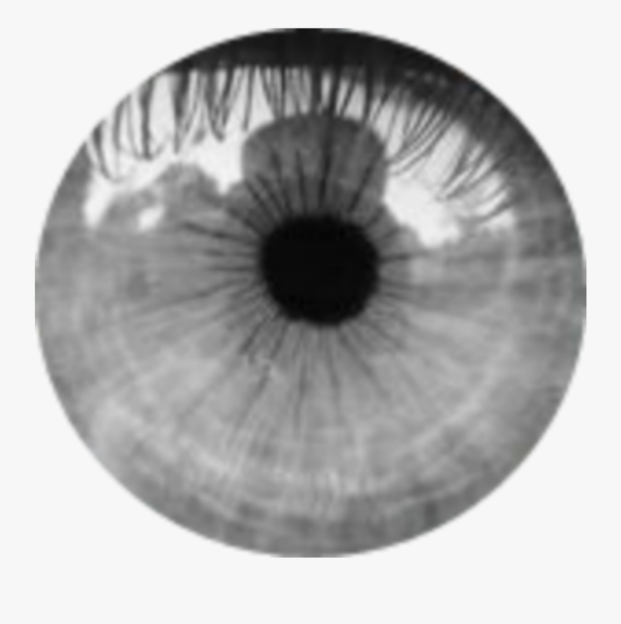 #eye #ojos #grises #gris #edit #fake - Human Grey Eye, Transparent Clipart