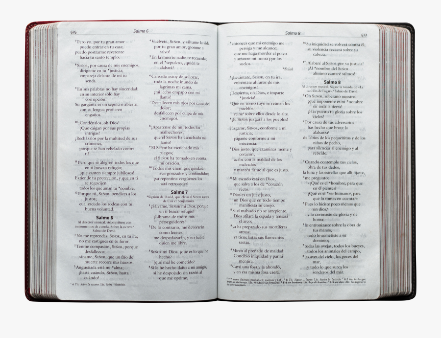 Book Open Pages Photo, Transparent Clipart