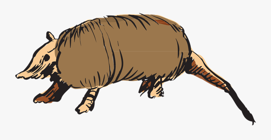 Imagens De Tatu Png, Transparent Clipart