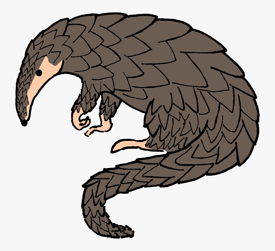 Pangolin Clipart, Transparent Clipart