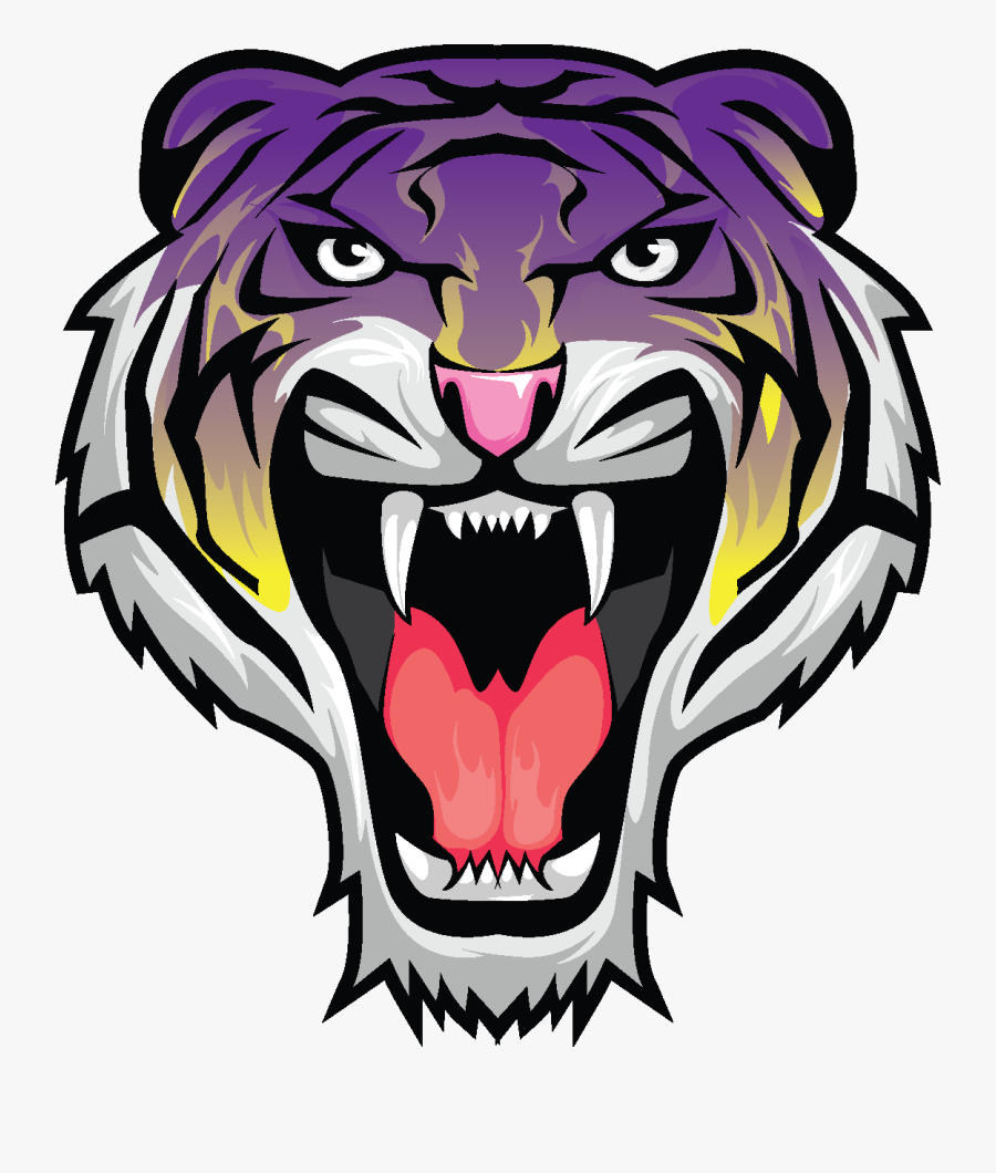 The White River Tigers - Tiger Face Line Drawing, Transparent Clipart