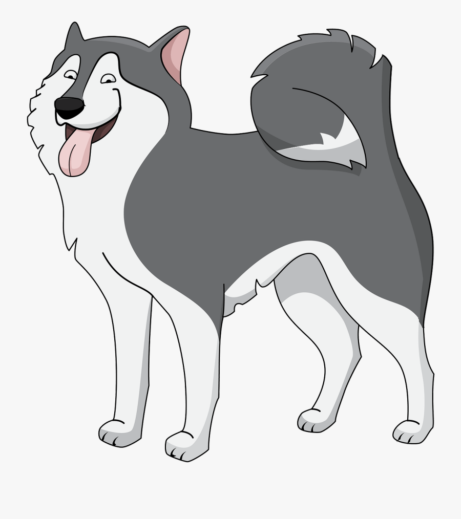 Cartoon Alaskan Malamute Drawing, Transparent Clipart