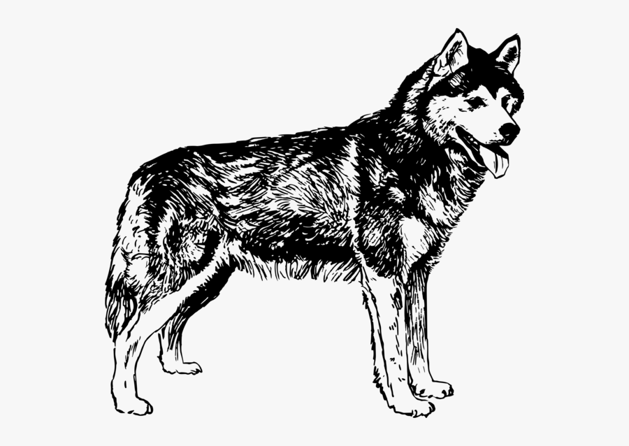 Husky Clipart Png, Transparent Clipart