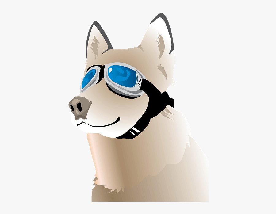 Companion Dog, Transparent Clipart