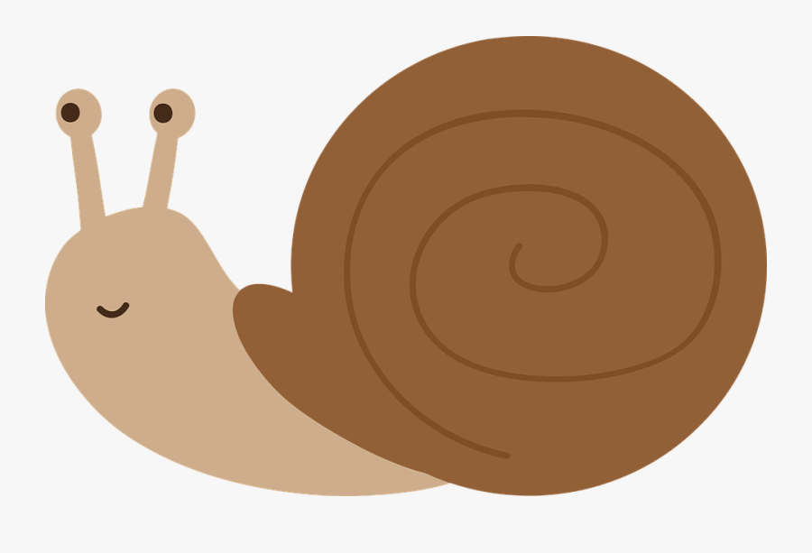 Snail, Transparent Clipart