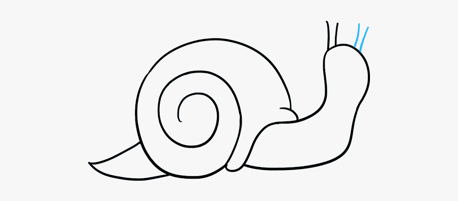 How To Draw Snail - Easy To Draw Mollusk, Transparent Clipart