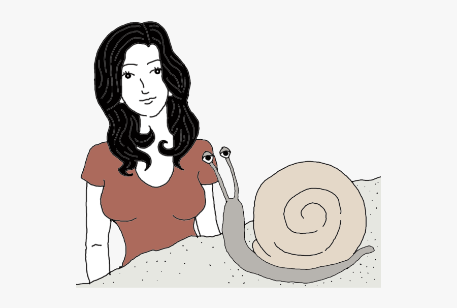 Snail, Transparent Clipart