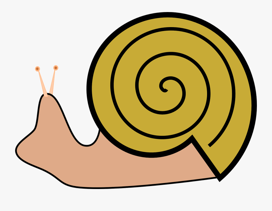 Snail Shell Clipart, Transparent Clipart