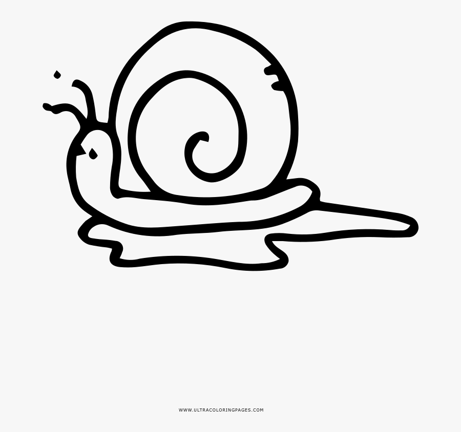 Snail Coloring Page - Coloring Book, Transparent Clipart