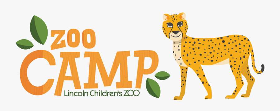 Cheetah, Transparent Clipart