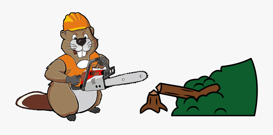 Full Tree Removal, Trimming, Pruning, And Stump Grinding - Beaver With A Saw, Transparent Clipart