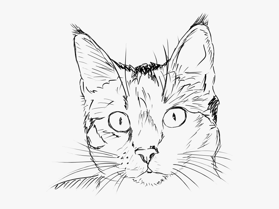 Failed Test Clipart, Transparent Clipart