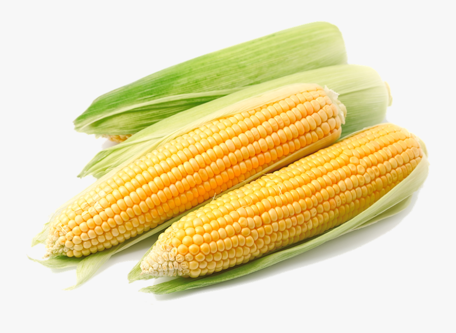 Corn Clipart Png - Corn Transparent Png, Transparent Clipart