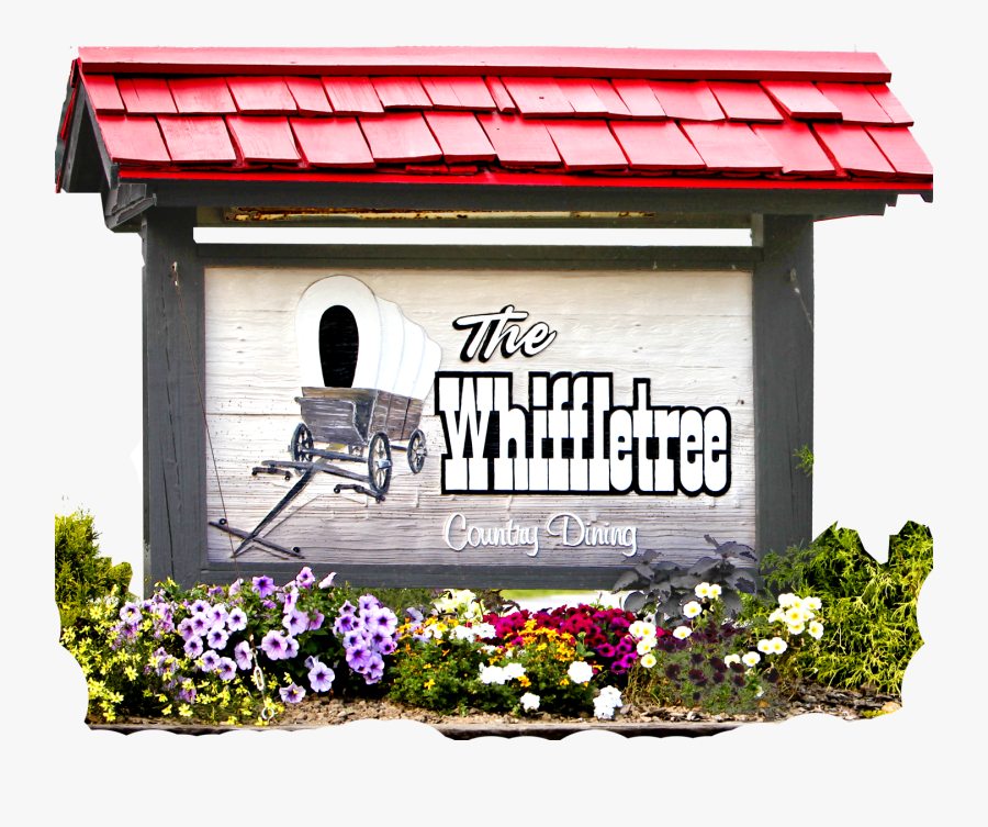 Viola, Transparent Clipart