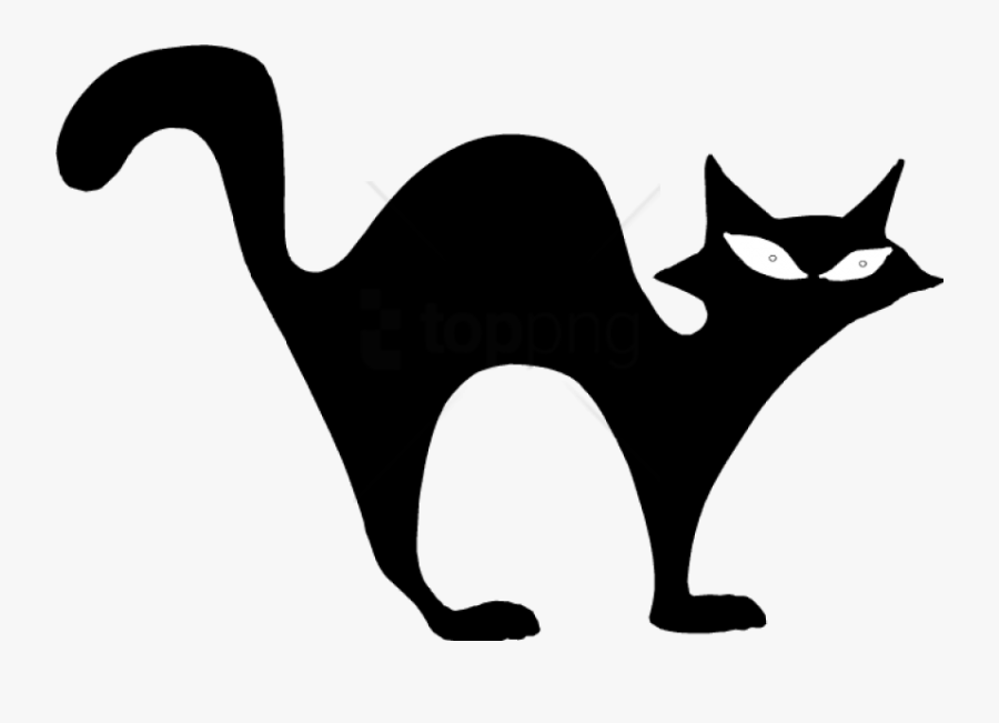 Transparent Black And White Cat Png - Halloween Clip Art, Transparent Clipart