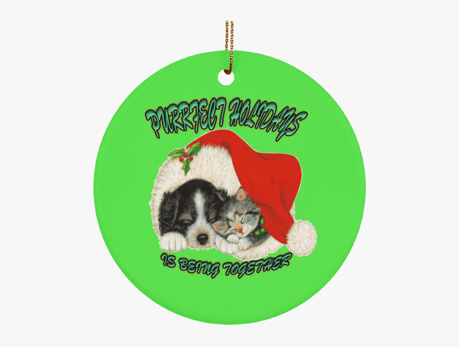 Transparent Christmas Cat Png - Christmas Dogs And Cats, Transparent Clipart
