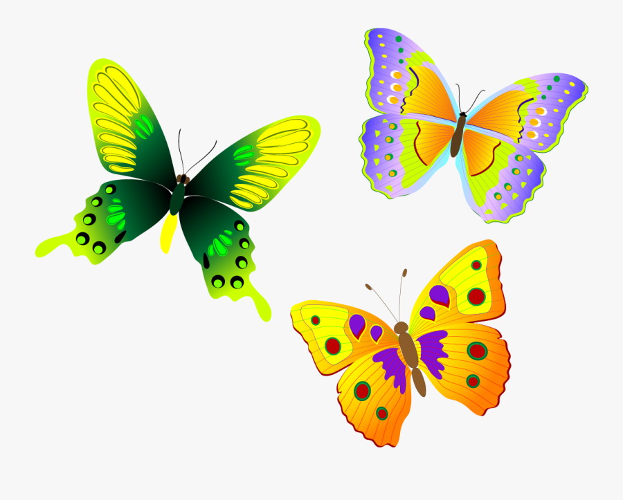 Png Official Psds Share - Butterfly Vector Png, Transparent Clipart