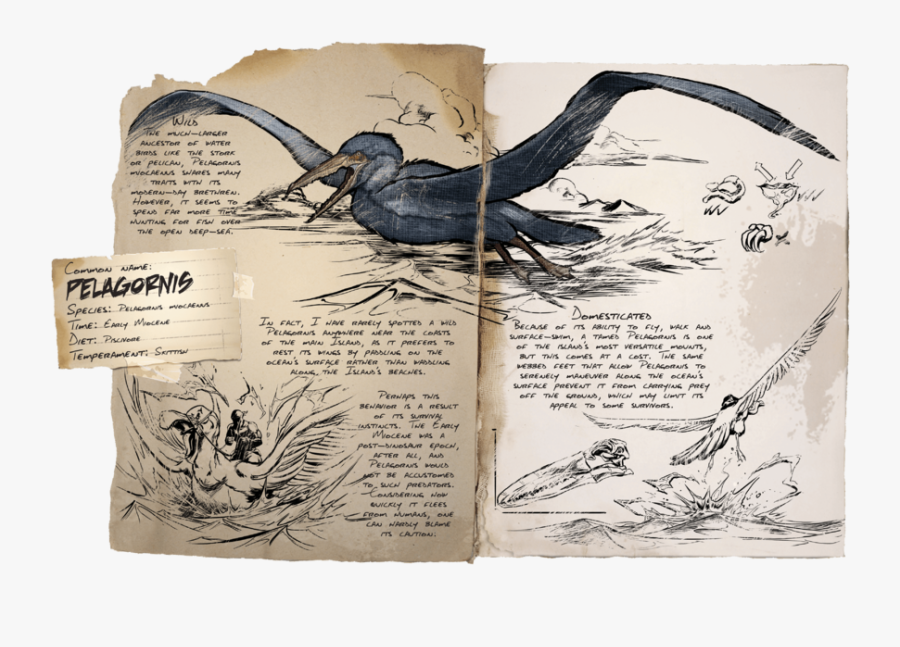 Ark Dino Dossier Pelagornis, Transparent Clipart