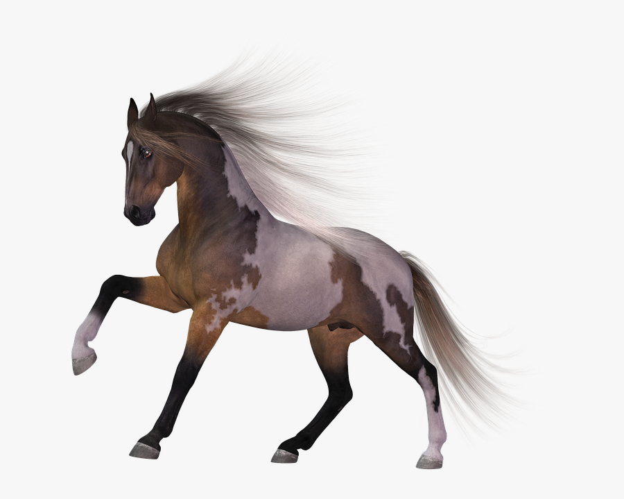 Download Horse Png Transparent Images Transparent Backgrounds, Transparent Clipart
