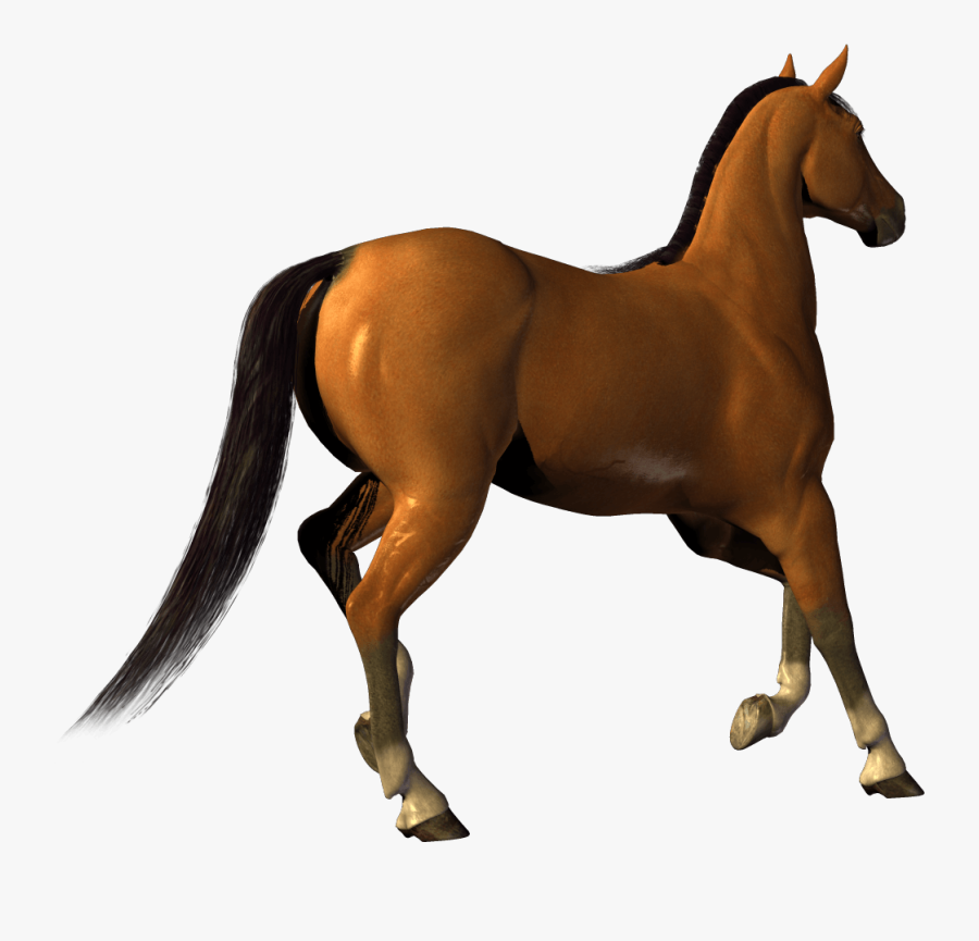 Horses Clipart No Background - Horse Clipart With No Background, Transparent Clipart