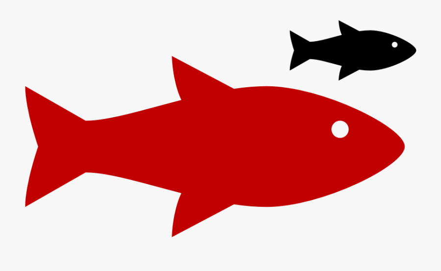 Little Bro Fish, Transparent Clipart