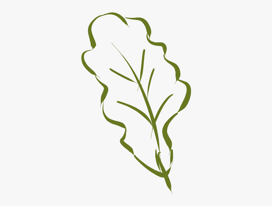 Oak Leaf-1577293685, Transparent Clipart
