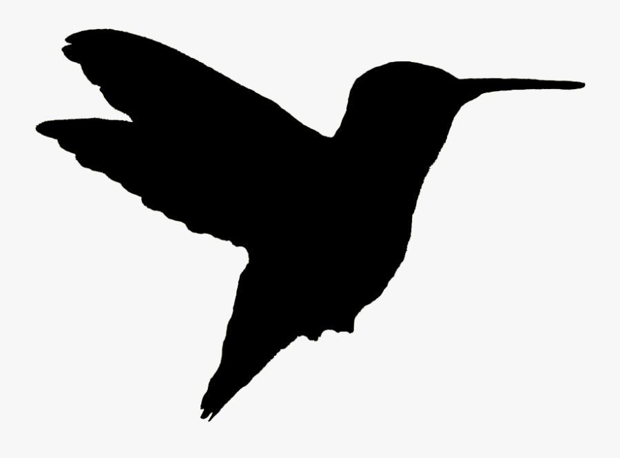 Hummingbird Silhouette The Gardens At Calvary - Ruby Throated Hummingbird Silhouette, Transparent Clipart