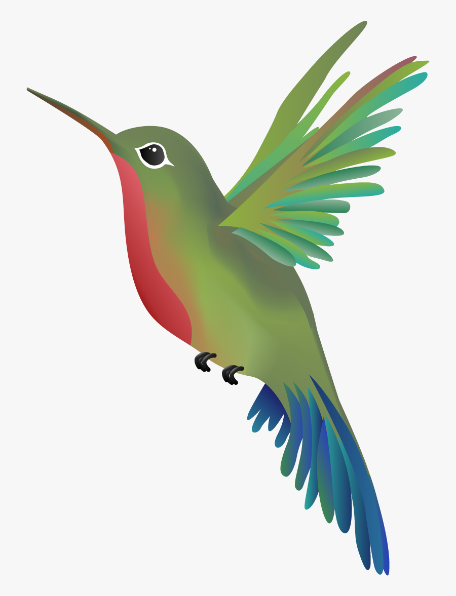 Hummingbird Png - Wandering Hummingbird Massage, Transparent Clipart