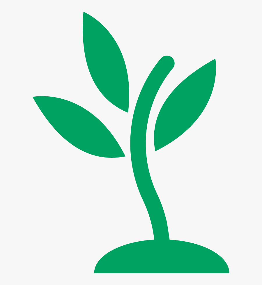 Transparent Seedling Clipart Black And White - Seedling Clipart Transparent, Transparent Clipart