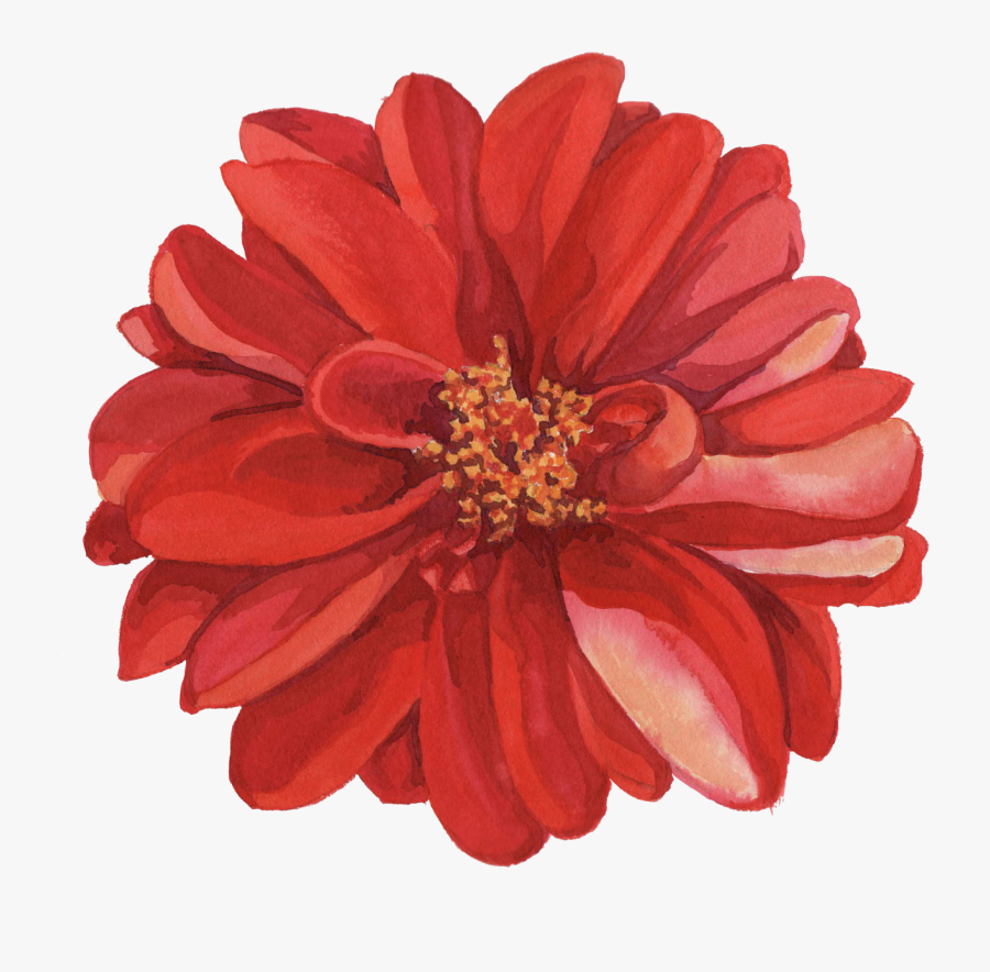 Transparent Flower Crown Png Tumblr - Watercolor Red Flower Png, Transparent Clipart