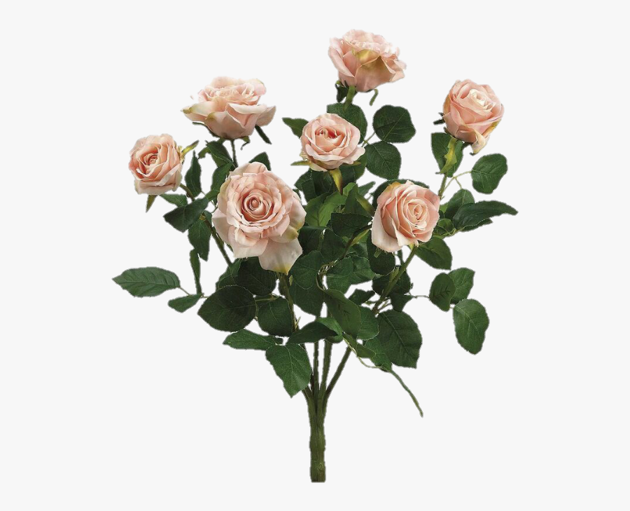 Image - Art, Transparent Clipart