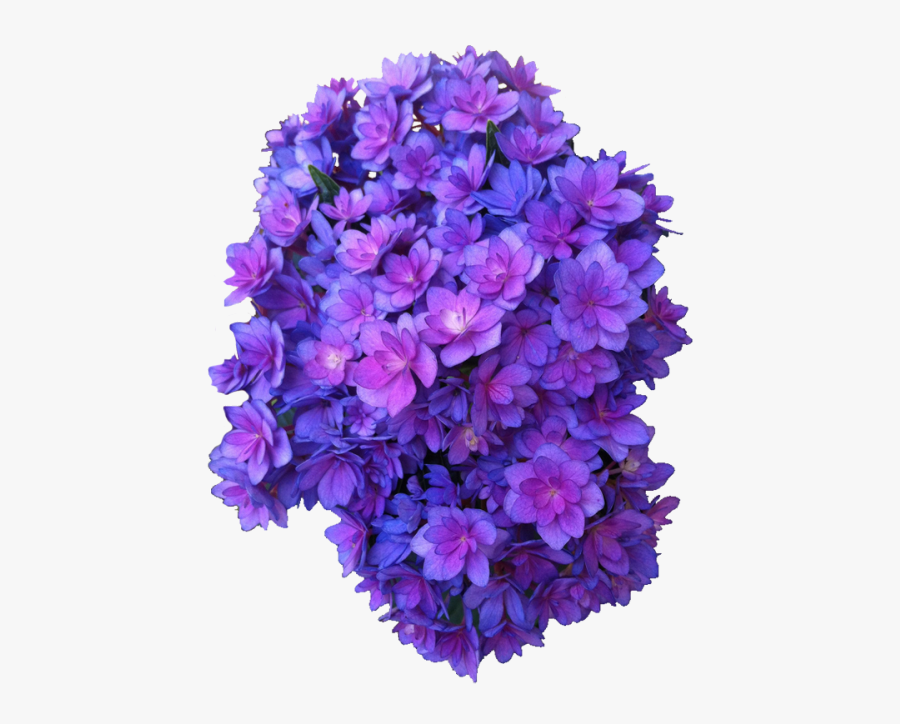 Transparent Flowers Png Tumblr - Transparent Hydrangea Flower Png, Transparent Clipart