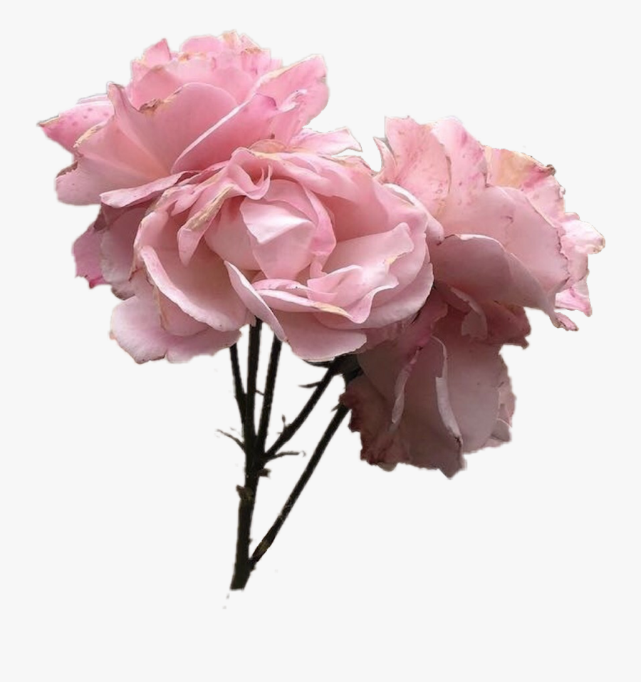 Aesthetics Pink Grey Image Pastel - Transparent Aesthetic Flower Png, Transparent Clipart