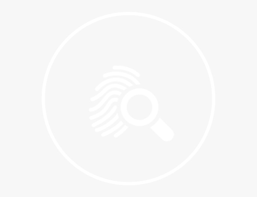 Circle, Transparent Clipart