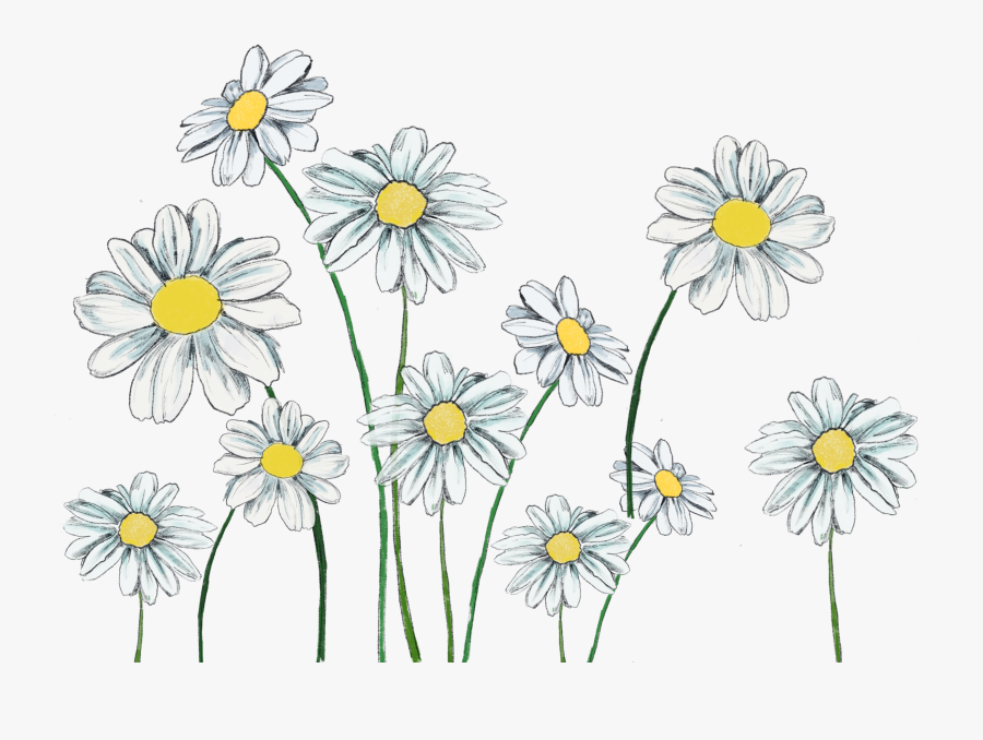 File 24 6 18, 3 33 53 Pm, Transparent Clipart