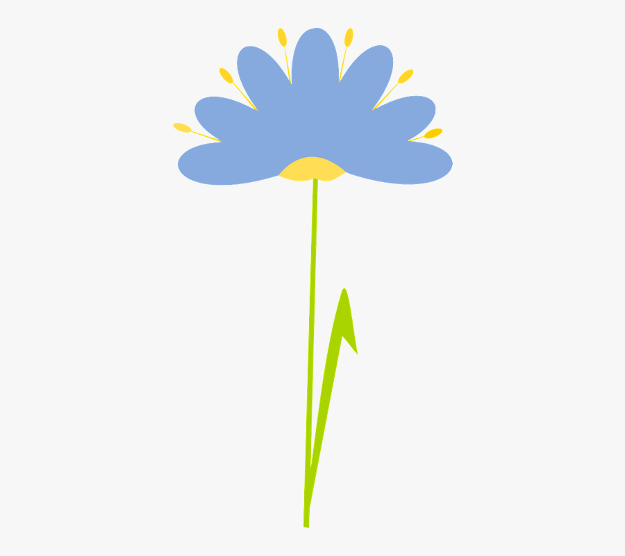 Portable Network Graphics, Transparent Clipart