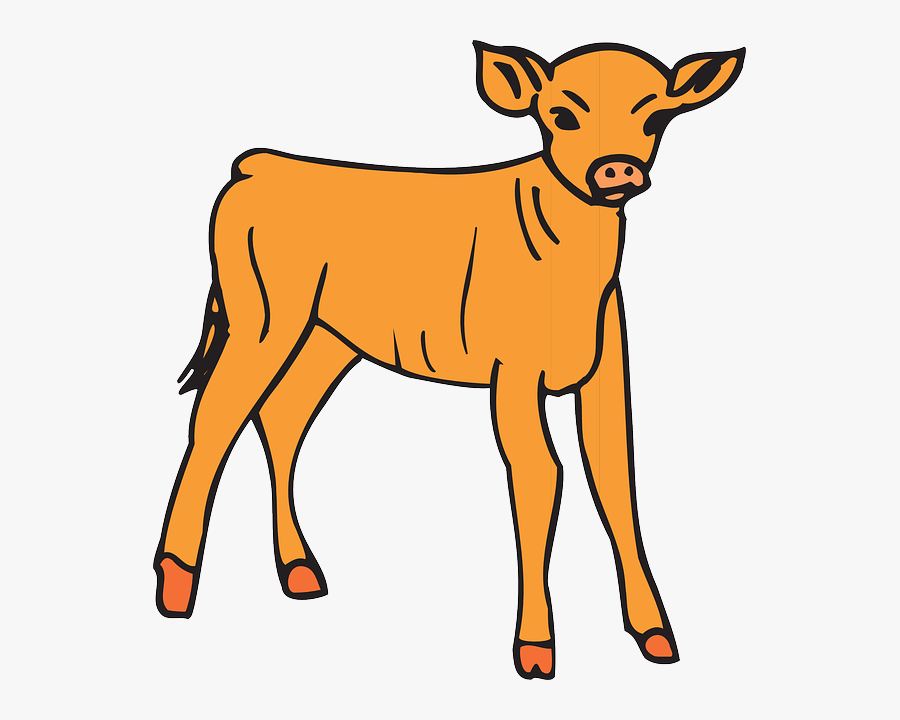 Calf Clipart Black And White, Transparent Clipart