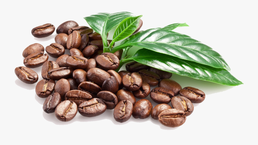 Coffee Bean Espresso Caffxe8 Macchiato - Png File Coffee Beans Png, Transparent Clipart