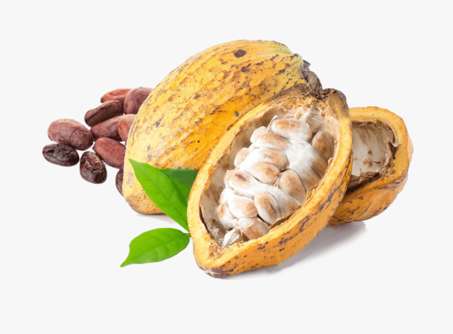 Free Png Images - Cacao Png, Transparent Clipart