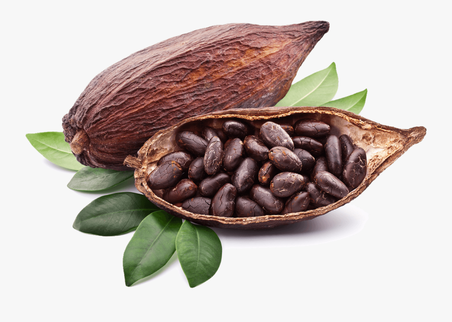 Cocoa Png Photos - Cacao Bean, Transparent Clipart